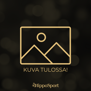 Talviratsastustakit