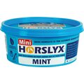 Horslyx Mini nuolukivi Mint