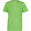 Miesten t-paita Vihreä (645)