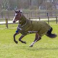 Bucas Freedom Flysheet Pony Oliivi