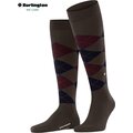 Burlington Edinburgh miesten polvisukat Brown/5235