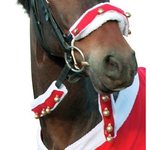 Horse Guard kulkuskoristeet ohjiin Punainen/valkoinen