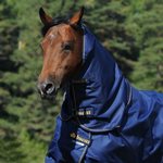 Bucas Irish 50g kaulakappale Navy/Gold