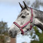 Bucas Dublin riimu Raspberry