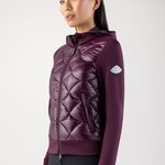 Equiline Gotel hybriditakki Amaranth