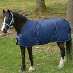 Bucas Irish Stable Extra talliloimi Navy/LightBlue