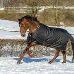 Bucas Irish Turnout Extra 300g ulkoloimi Black/Gold
