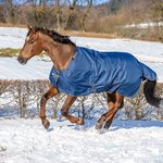 Bucas Irish Turnout Extra High Neck ulkoloimi Navy/Gold