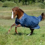 Bucas Irish Turnout Light 50g ulkoloimi Navy/Gold