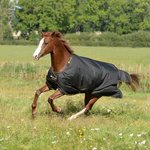 Bucas Irish Turnout Light 50g ulkoloimi Black/Gold