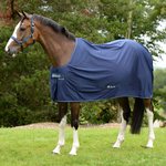 Bucas Power Cooler kuivatusloimi Navy/Silver