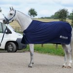 Bucas Prize Cooler kuivatusloimi Navy/Silver Bucas logo