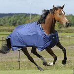 Bucas Smartex Rain Big Neck sadeloimi Sininen