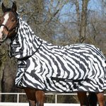 Bucas Sweet-itch ihottumaloimi Zebra