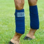 Bucas Freedom pintelit Navy