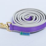 Bucas Dublin riimunnaru Purpleheart