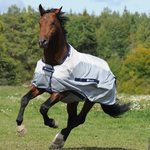 Bucas Buzz-Off Rain Classic hyönteissadeloimi Hopea/Sininen