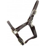 Kentucky Plaited Nylon riimu Harmaa