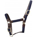 Kentucky Plaited Nylon riimu Navy