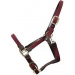 Kentucky Plaited Nylon riimu Viininpunainen