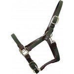 Kentucky Plaited Nylon riimu Oliivi