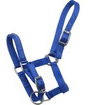 Horse Comfort Crystal varsariimu Royal Blue