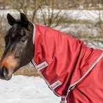 Bucas Select kaulakappale Ruby