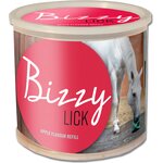 Likit Bizzy Lick täytekivi Apple