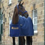 Bucas Prize Cooler kuivatusloimi Navy/Gold