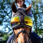 Equick eVysor hevosen lasit (eye protector) Peilaavat oranssit linssit