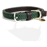 Kentucky Plaited Nylon koiran kaulapanta Oliivinvihreä
