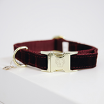 Kentucky Corduroy koiran kaulapanta Bordeaux