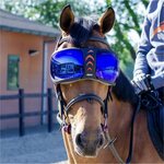Equick eVysor hevosen lasit (eye protector) Peilaavat siniset linssit