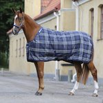 Bucas Celtic Stable Cool talliloimi Tartan