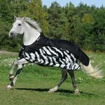 Bucas Buzz-Off Rain Zebra Classic sadehyönteisloimi Zebra/Musta