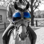 Equick eVysor vaihtolinssit Dark