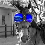 Equick eVysor vaihtolinssit Peilaava sininen