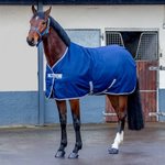 Bucas Freedom Stable 300g talliloimi Navy