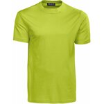 Miesten puuvillainen t-paita Auckland Lime (630)