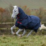 Bucas Freedom turnout 150/150g fullneck AW22 ulkoloimi Graphite