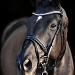 HV Polo Legacy DeLuxe nivelsuitset Musta
