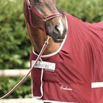 Bucas Dublin riimu Wine/Silver