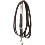 Kentucky Stallion Lead Ruskea