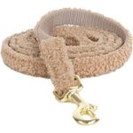 Kentucky Teddy koiran hihna Beige