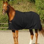 Bucas Power Cooler ALE kuivatusloimi Black/Gold