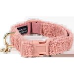 Kentucky koiran teddy kaulapanta Old Rose