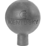 Kentucky Wall&Lead suojapallo Harmaa