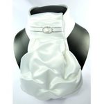 ShowQuest Regency III Oval plastrong Valkoinen