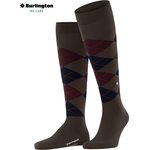Burlington Edinburgh miesten polvisukat Brown/5235