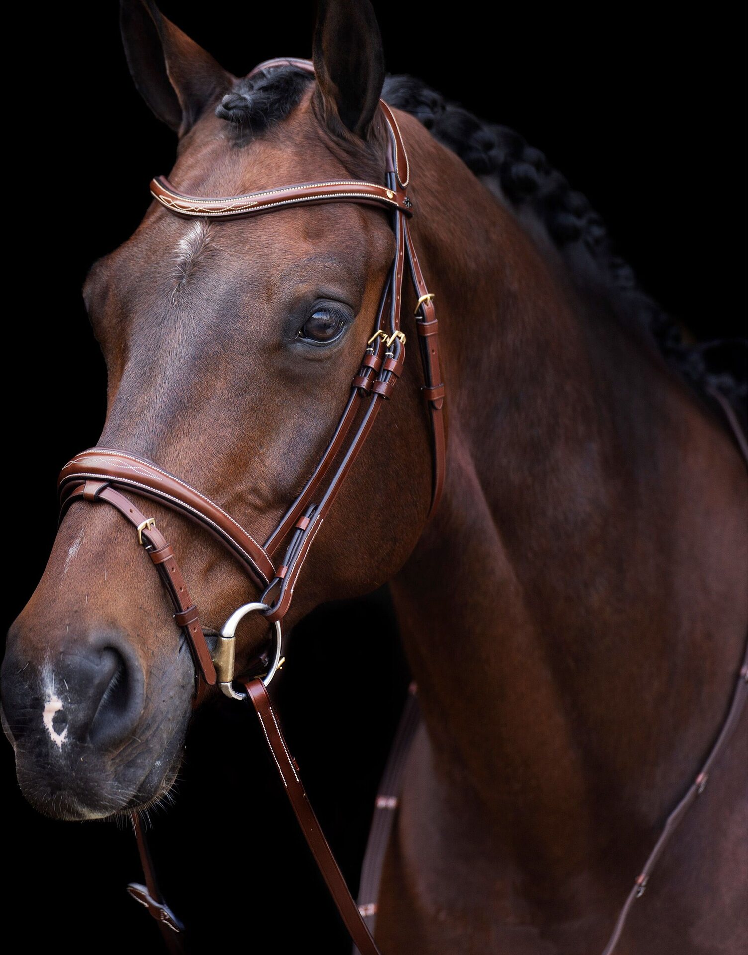 HV Polo Legacy nivelsuitset Ruskea